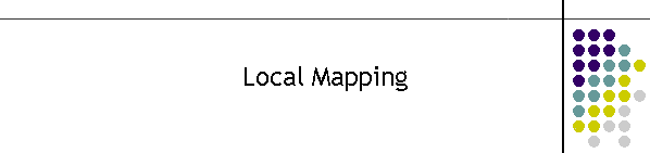 Local Mapping