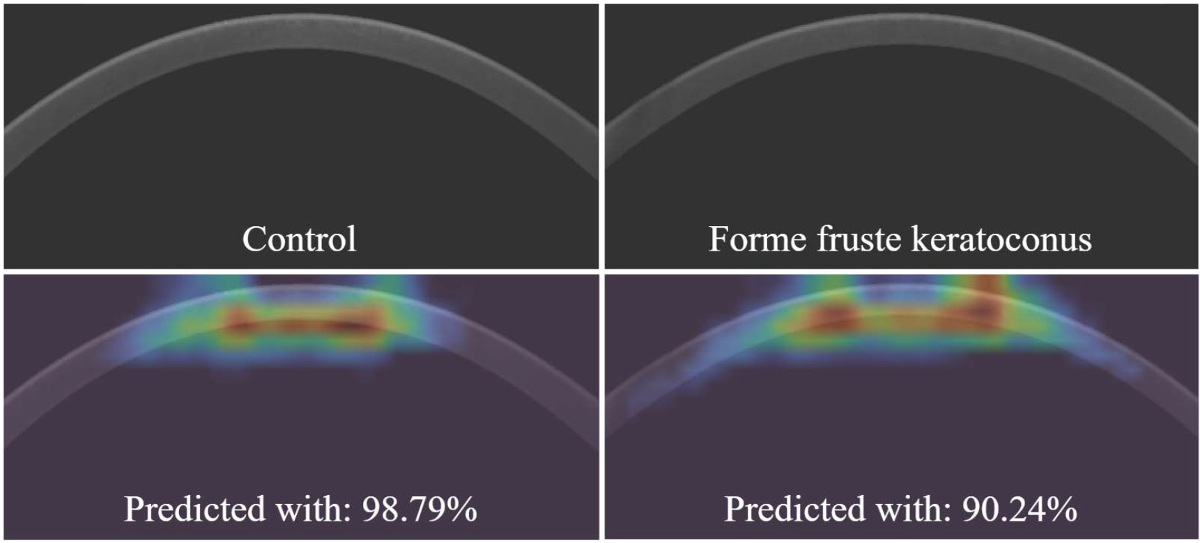 Responsive image