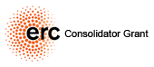 ERC Consolidator Grant