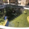 Jardín acuático Paraninfo