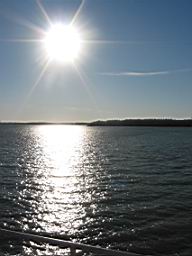IMG_2153.JPG