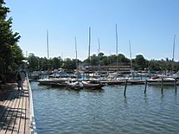 IMG_2236.JPG