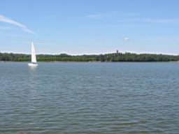 IMG_2238.JPG
