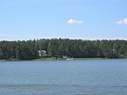 IMG_2278.JPG