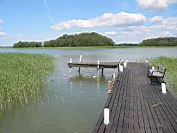 IMG_2299.JPG