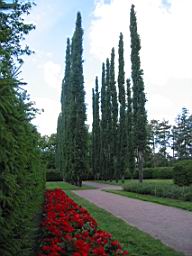 IMG_2306.JPG