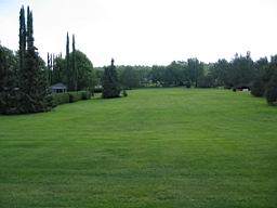 IMG_2326.JPG