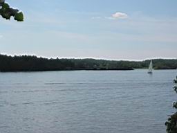 IMG_2346.JPG