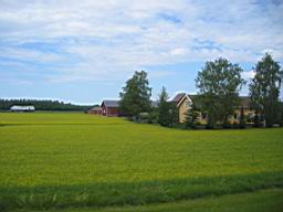 IMG_2350.JPG