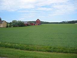 IMG_2351.JPG