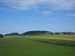 IMG_2352.JPG