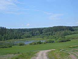 IMG_2353.JPG