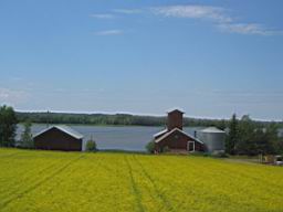 IMG_2354.JPG