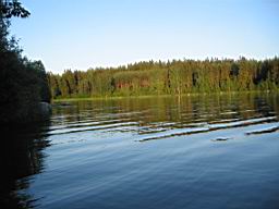IMG_2378.JPG