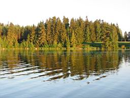 IMG_2380.JPG