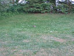 IMG_2496.JPG