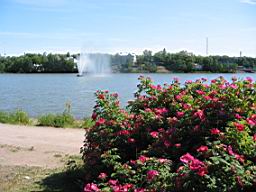 IMG_2393.JPG