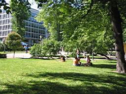 IMG_2401.JPG