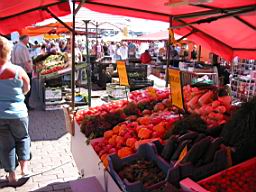 IMG_2424.JPG