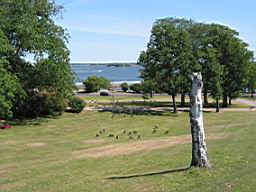 IMG_2459.JPG