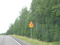 IMG_2502.JPG