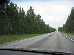 IMG_2505.JPG