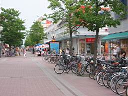 IMG_2522.JPG
