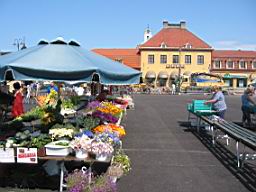 IMG_2529.JPG