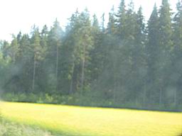 IMG_2541.JPG