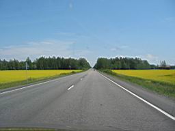 IMG_2543.JPG