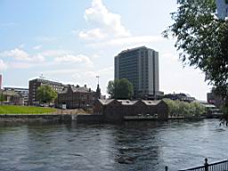 IMG_2593.JPG