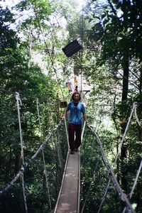 Taman Negara - Canopy walkway