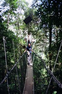 Taman Negara - Canopy walkway 2