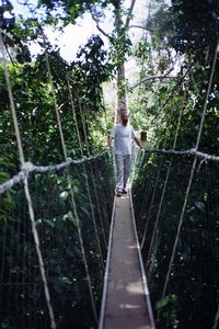 Taman Negara - Canopy walkway 3