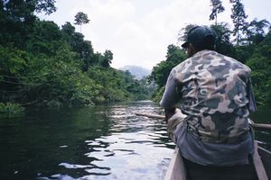 Taman Negara - A nadar 2