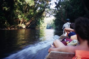 Taman Negara - A nadar 6