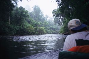 Taman Negara - A nadar 7