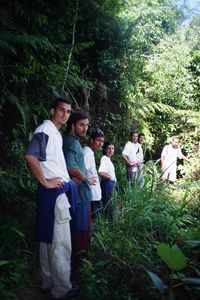 Cameron Highlands (trekking walk 9)