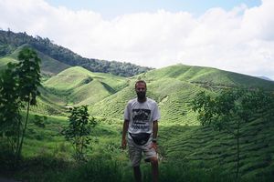 Cameron Highlands (Boh tea plantation)