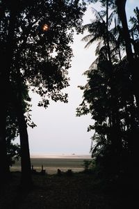 Sarawak, Borneo (Parque Nacional Bako, Playa frente a Headquarters)