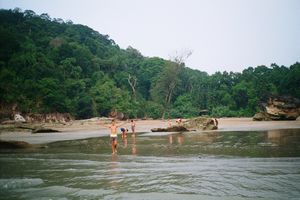 Sarawak, Borneo (Parque Nacional Bako, Playa Paku 3)