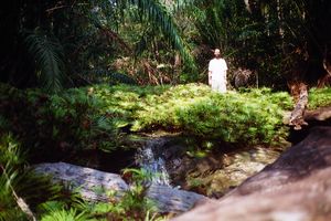 Sarawak, Borneo (Parque Nacional Bako, Trekking 3)