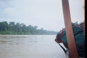 Camino de Taman Negara (ro Tembeling) 3