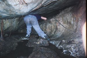 Taman Negara - Cueva Telinga