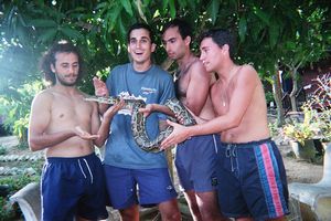 Pulau Perhentian Kecil (boa constrictor) 2