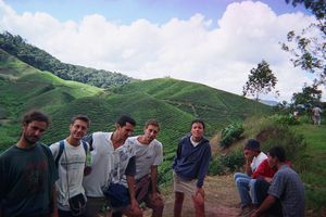 Cameron Highlands (Boh tea plantation)