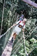 Taman Negara - Canopy walkway