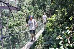 Taman Negara - Canopy walkway 2