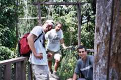 Taman Negara - Canopy walkway 3