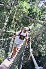 Taman Negara - Canopy walkway 4